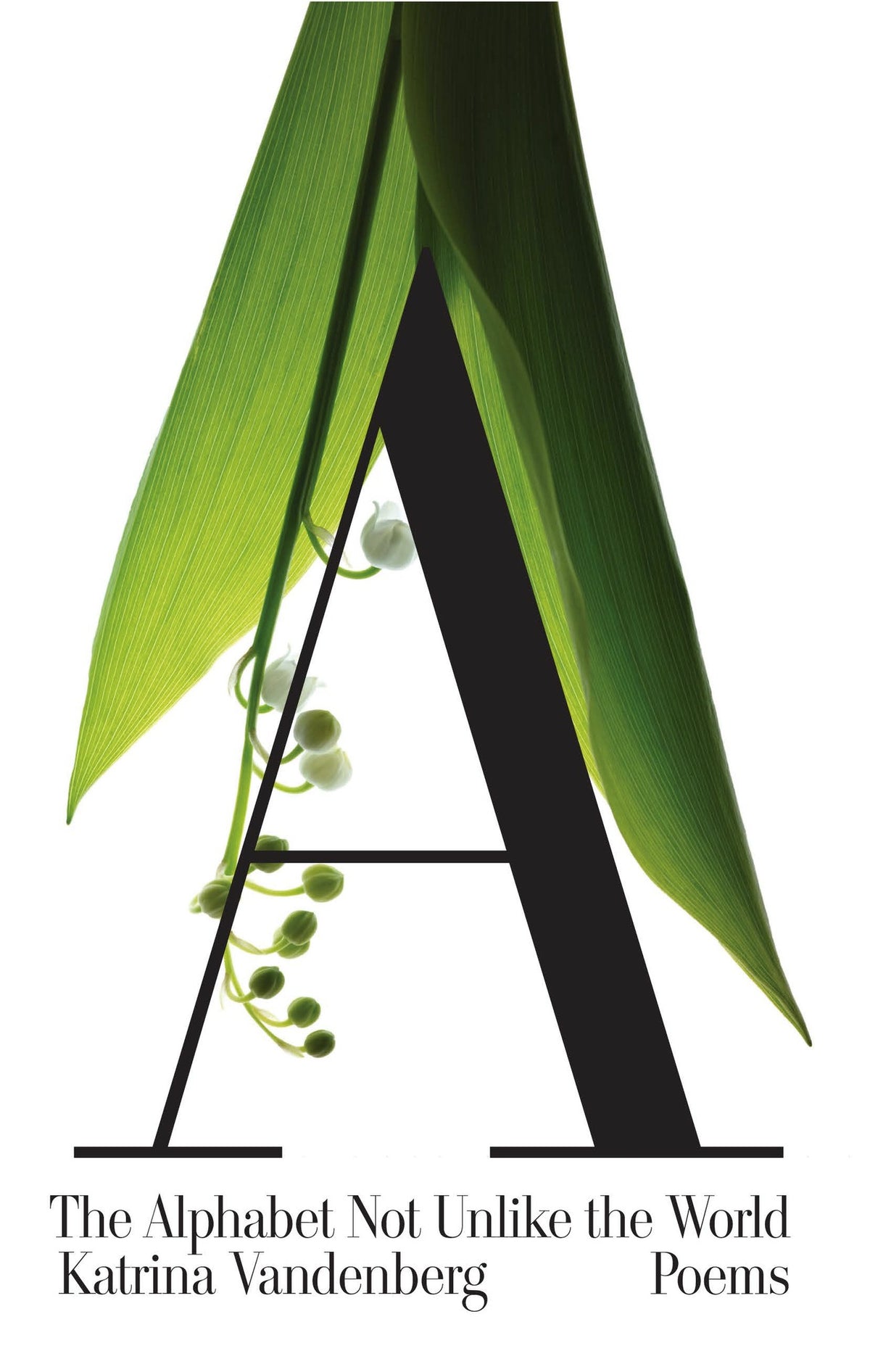 Cover image for The Alphabet Not Unlike the World ISBN 9781571314468