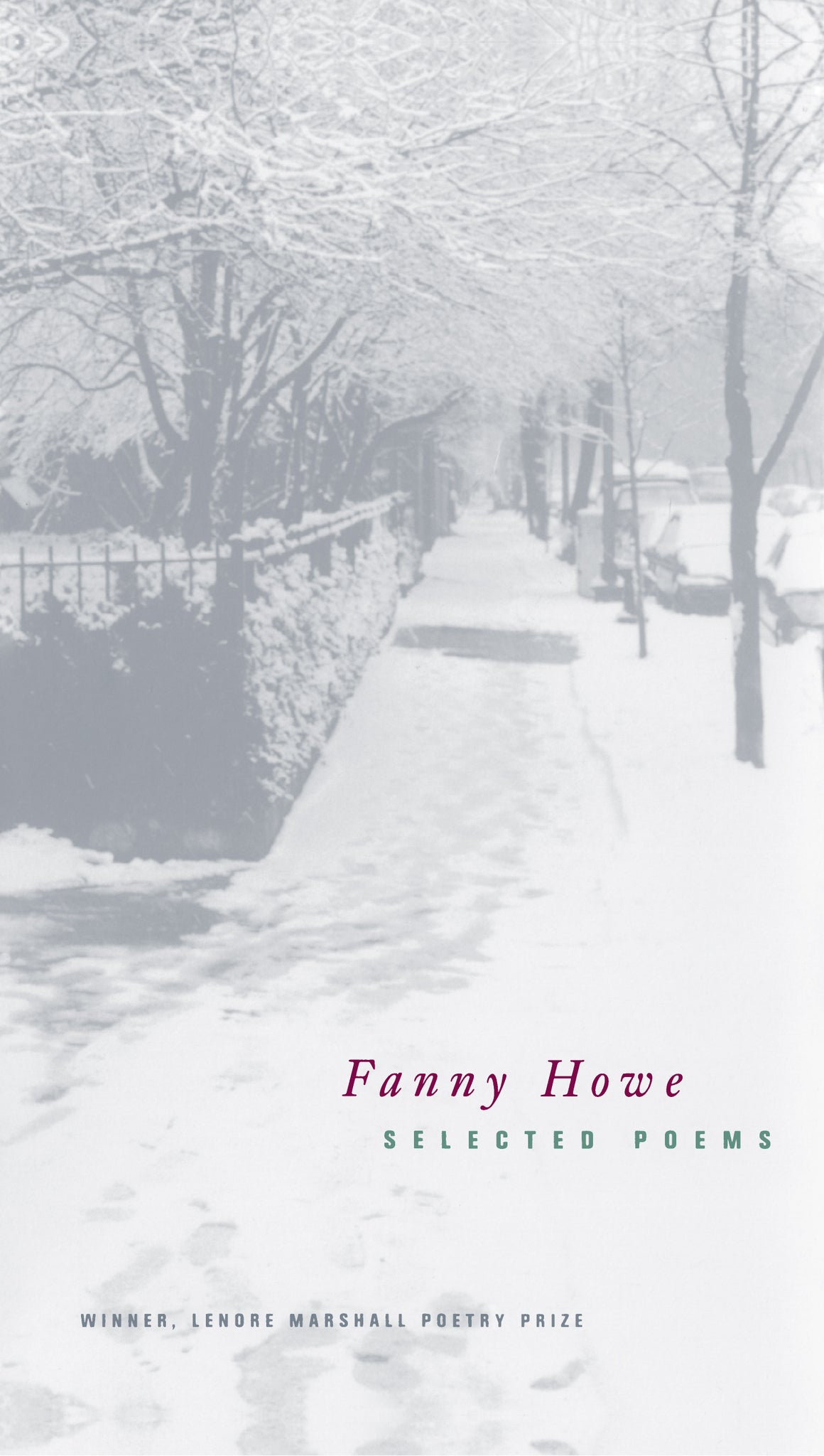 Cover image for Selected Poems of Fanny Howe ISBN 9780520222632
