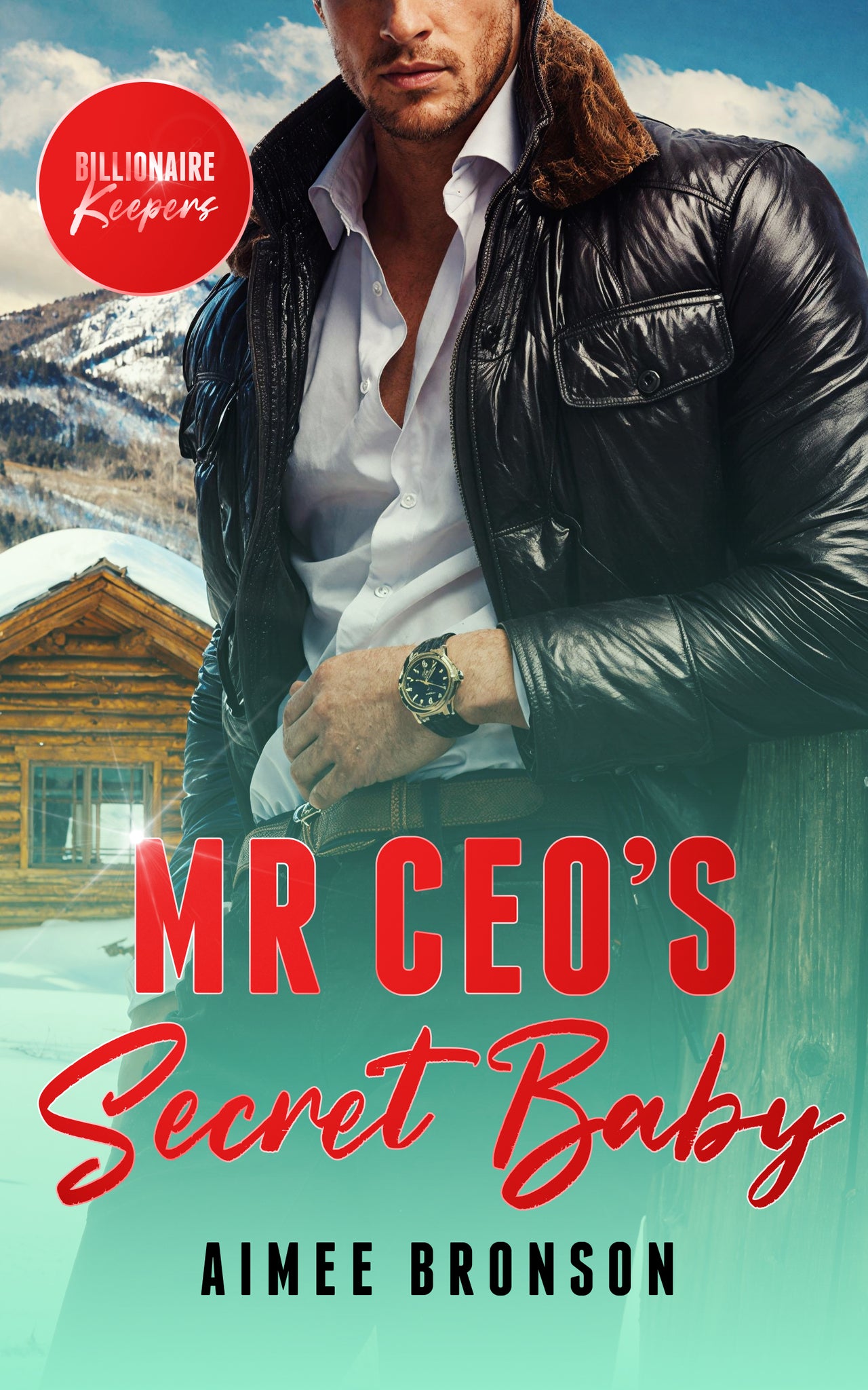 Mr. CEO's Secret Baby