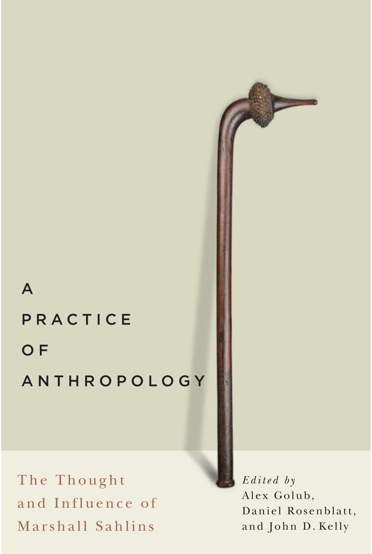 Cover image for A Practice of Anthropology ISBN 9780773598638