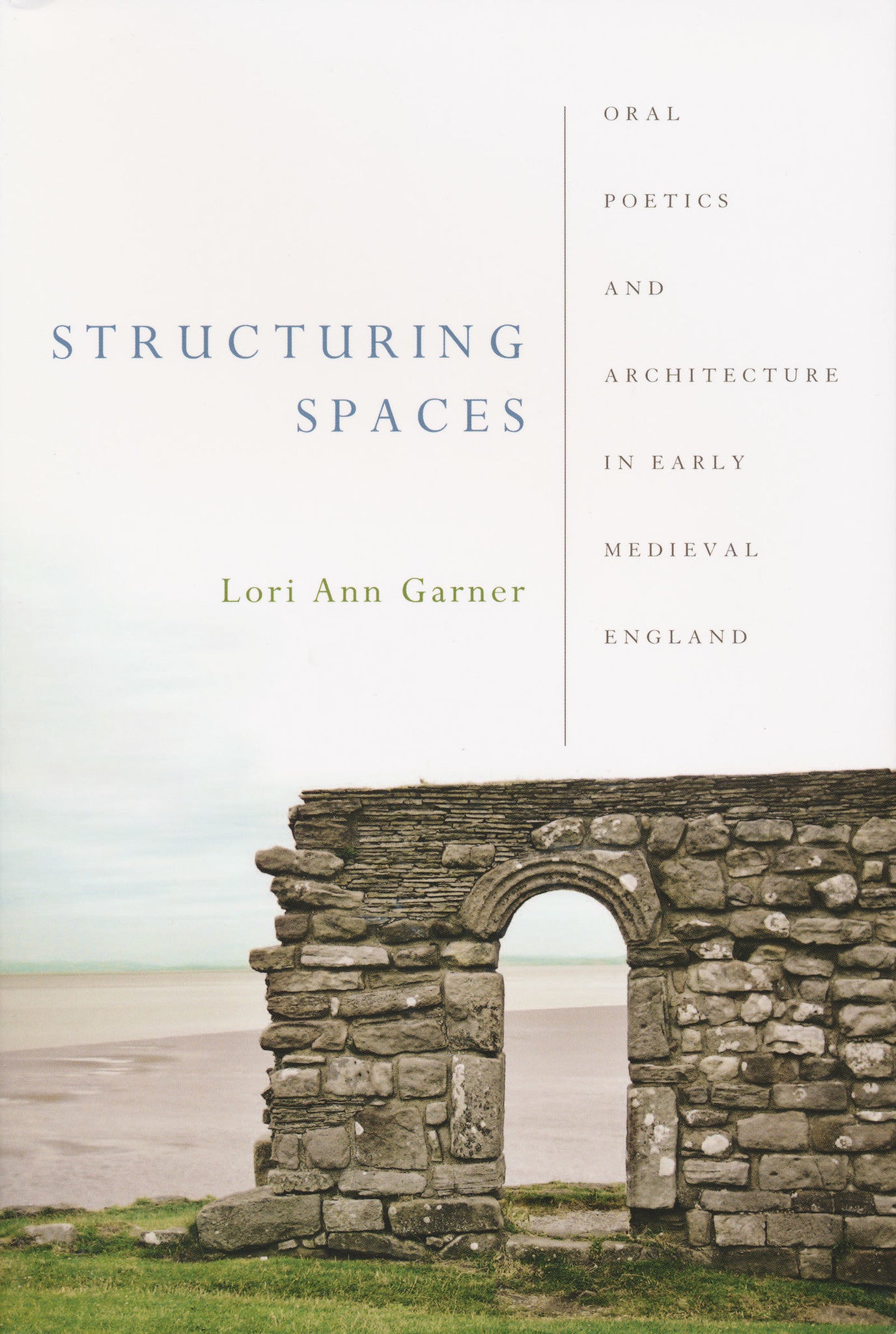 Cover image for Structuring Spaces ISBN 9780268206956