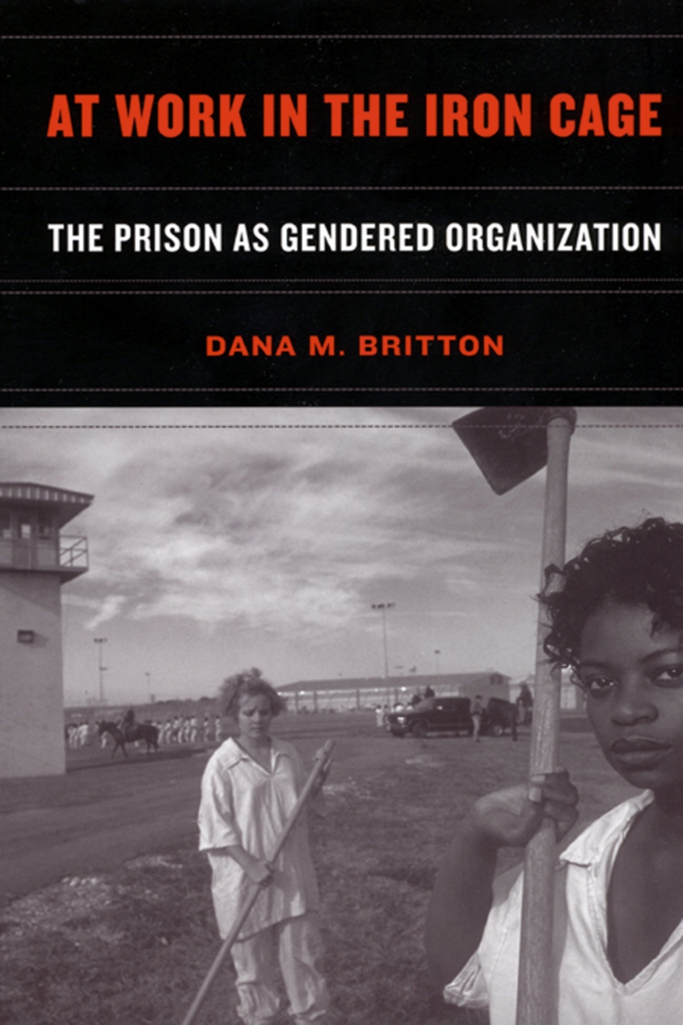 Cover image for At Work in the Iron Cage ISBN 9780814798836
