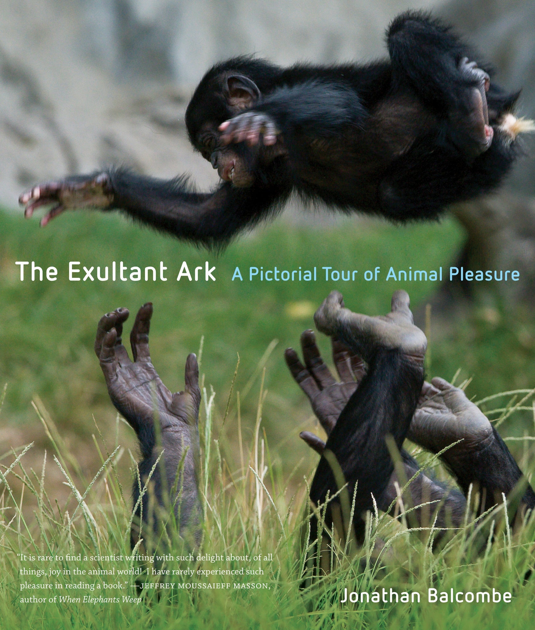 Cover image for The Exultant Ark ISBN 9780520948648
