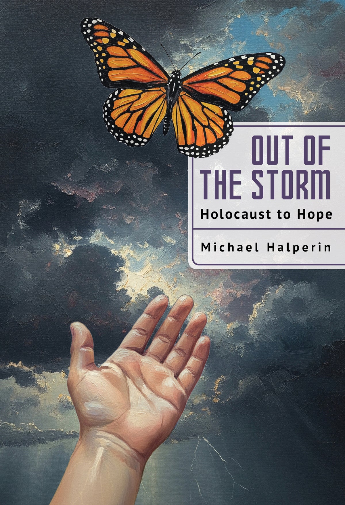 Cover image for Out of the Storm ISBN 9798887198514