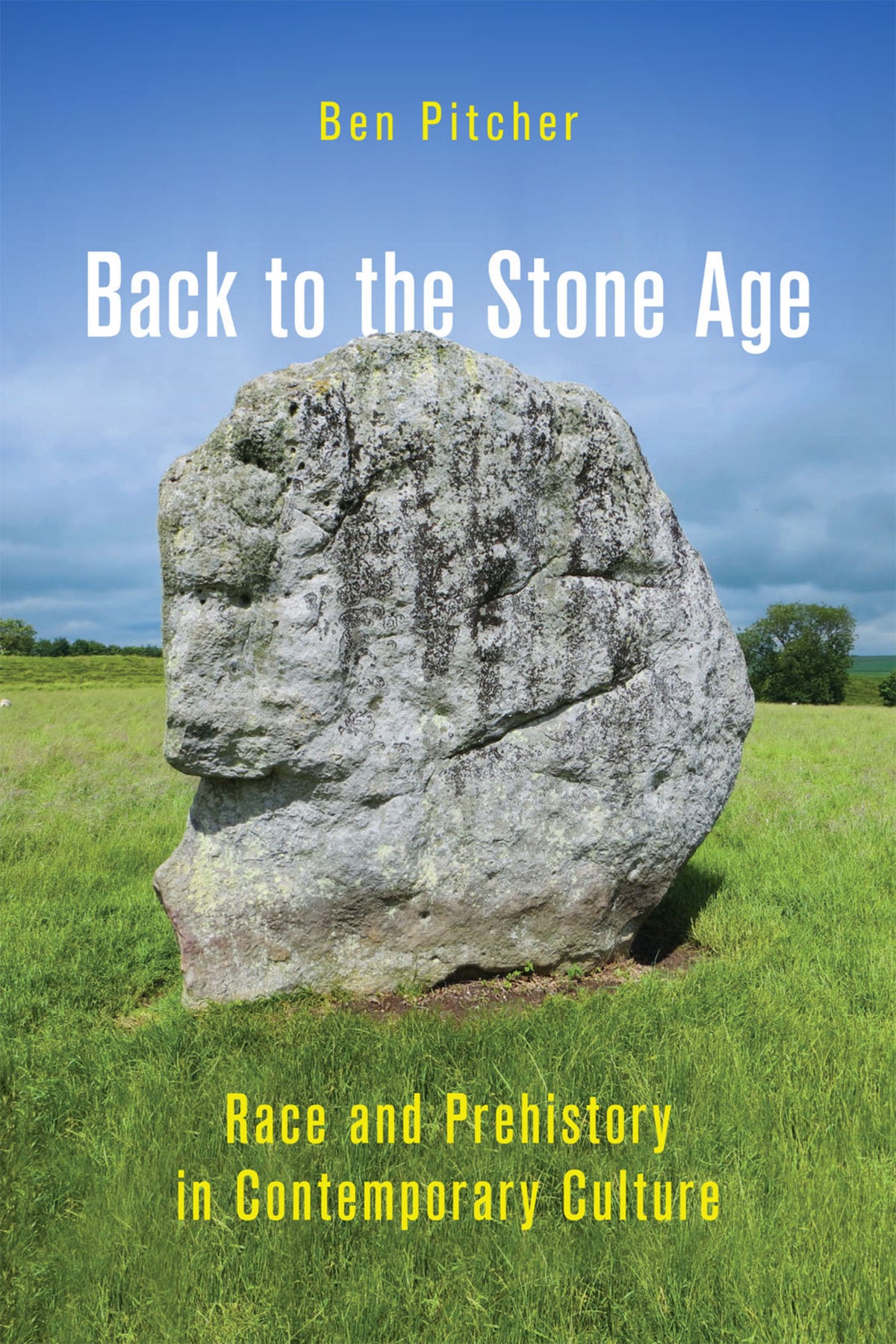 Cover image for Back to the Stone Age ISBN 9780228015611