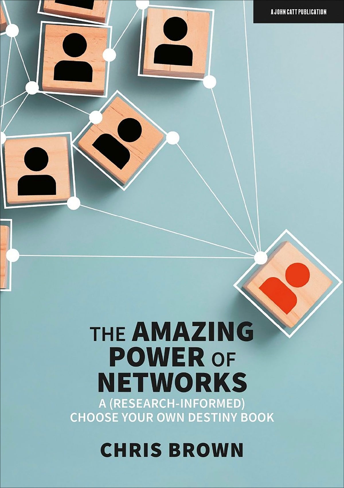 The Amazing Power of Networks: A (research-informed) choose your own destiny book