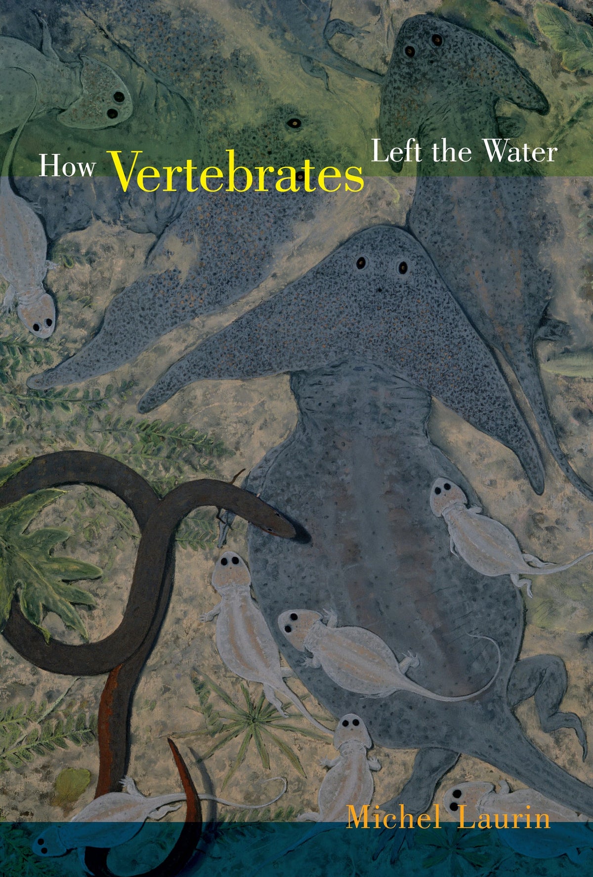 Cover image for How Vertebrates Left the Water ISBN 9780520947986
