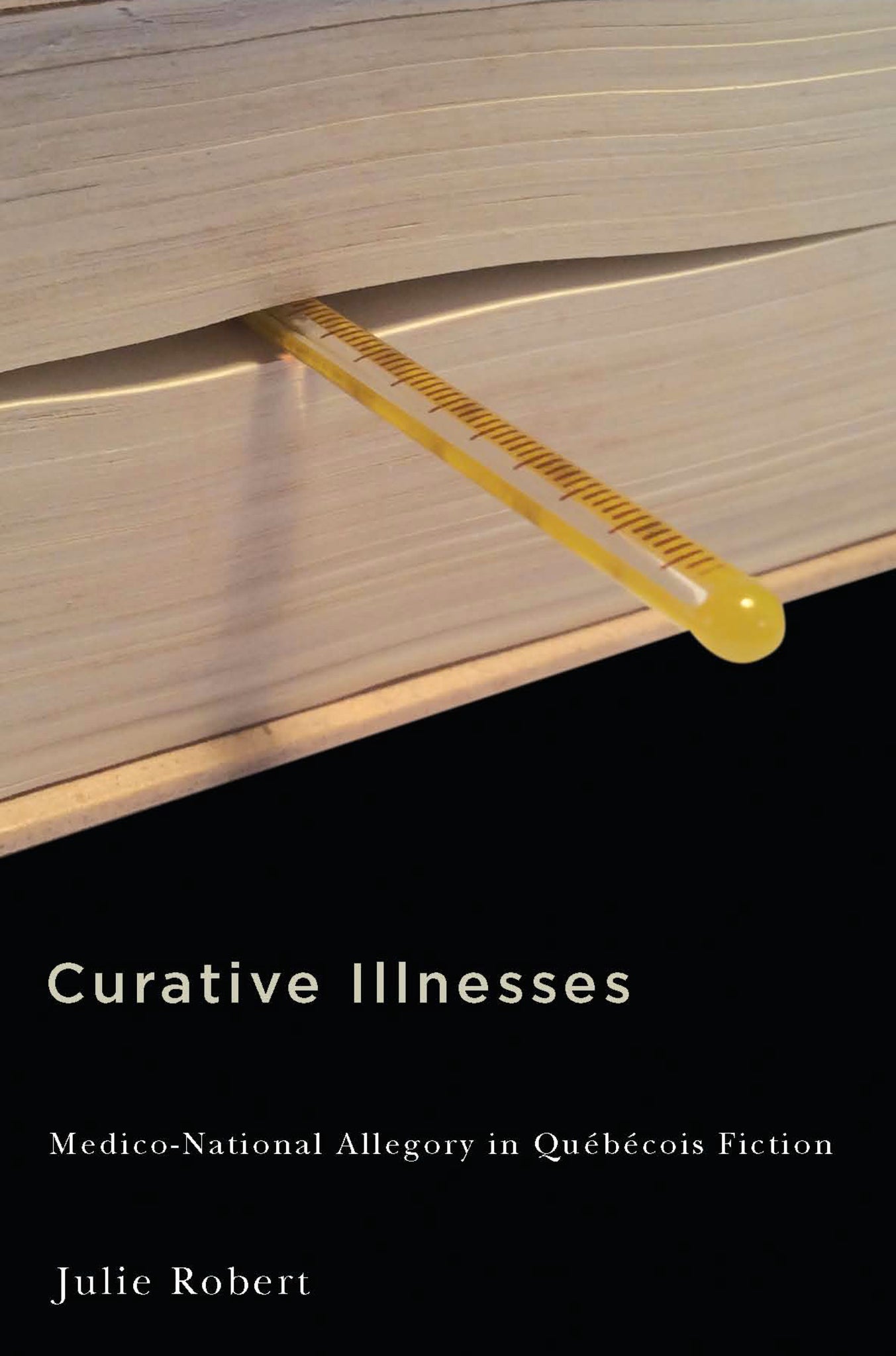 Cover image for Curative Illnesses ISBN 9780773598850