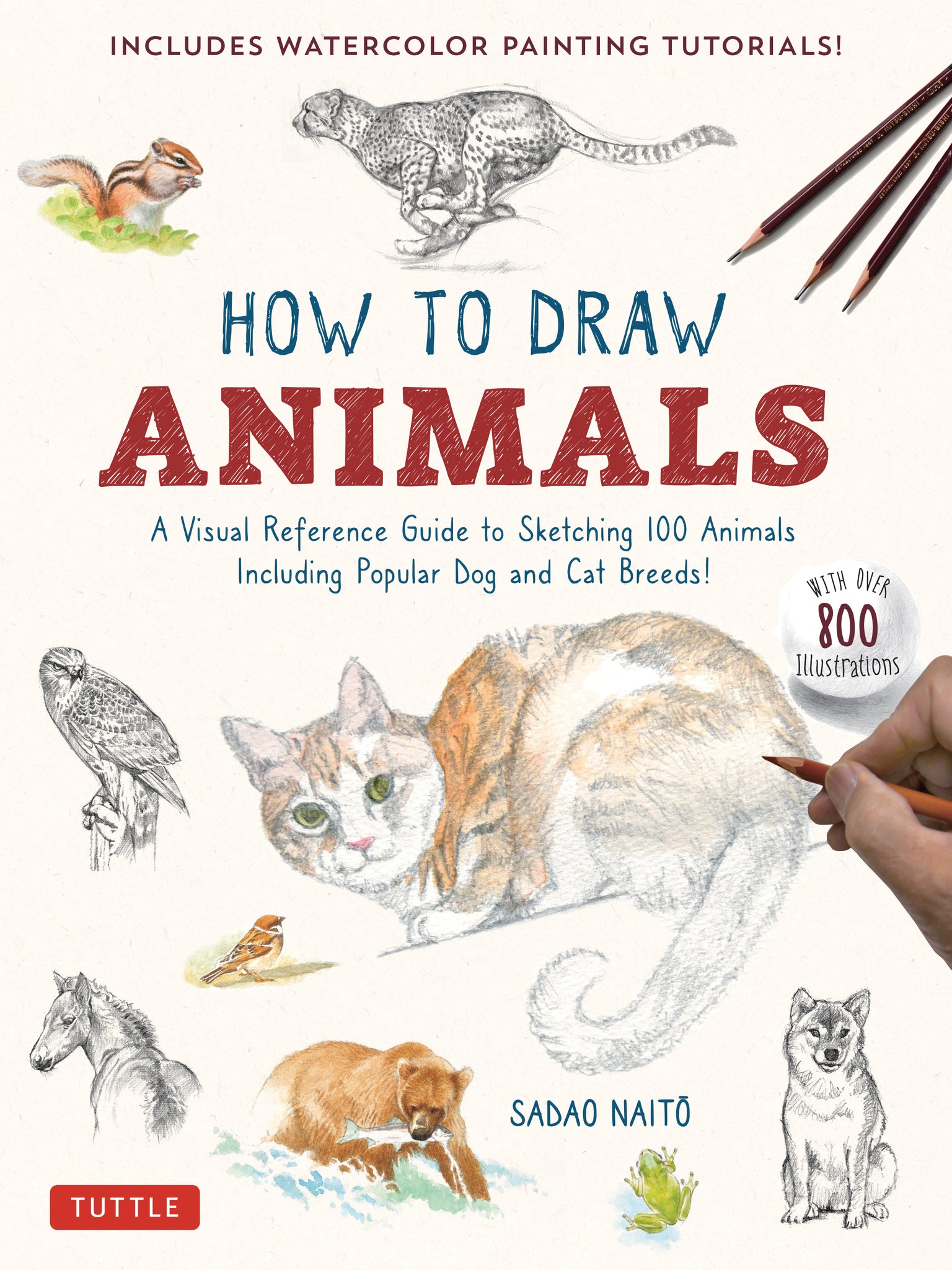 Cover image for How to Draw Animals ISBN 9784805317358