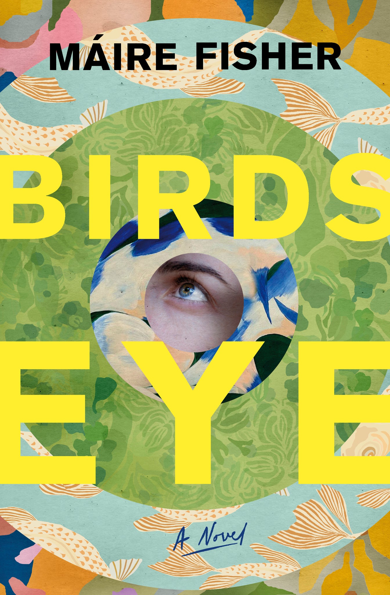 Birdseye