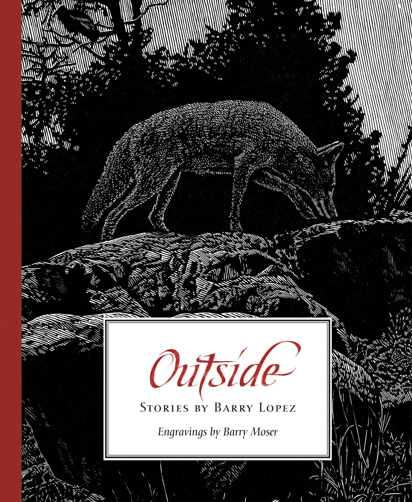 Cover image for Outside ISBN 9781595341891