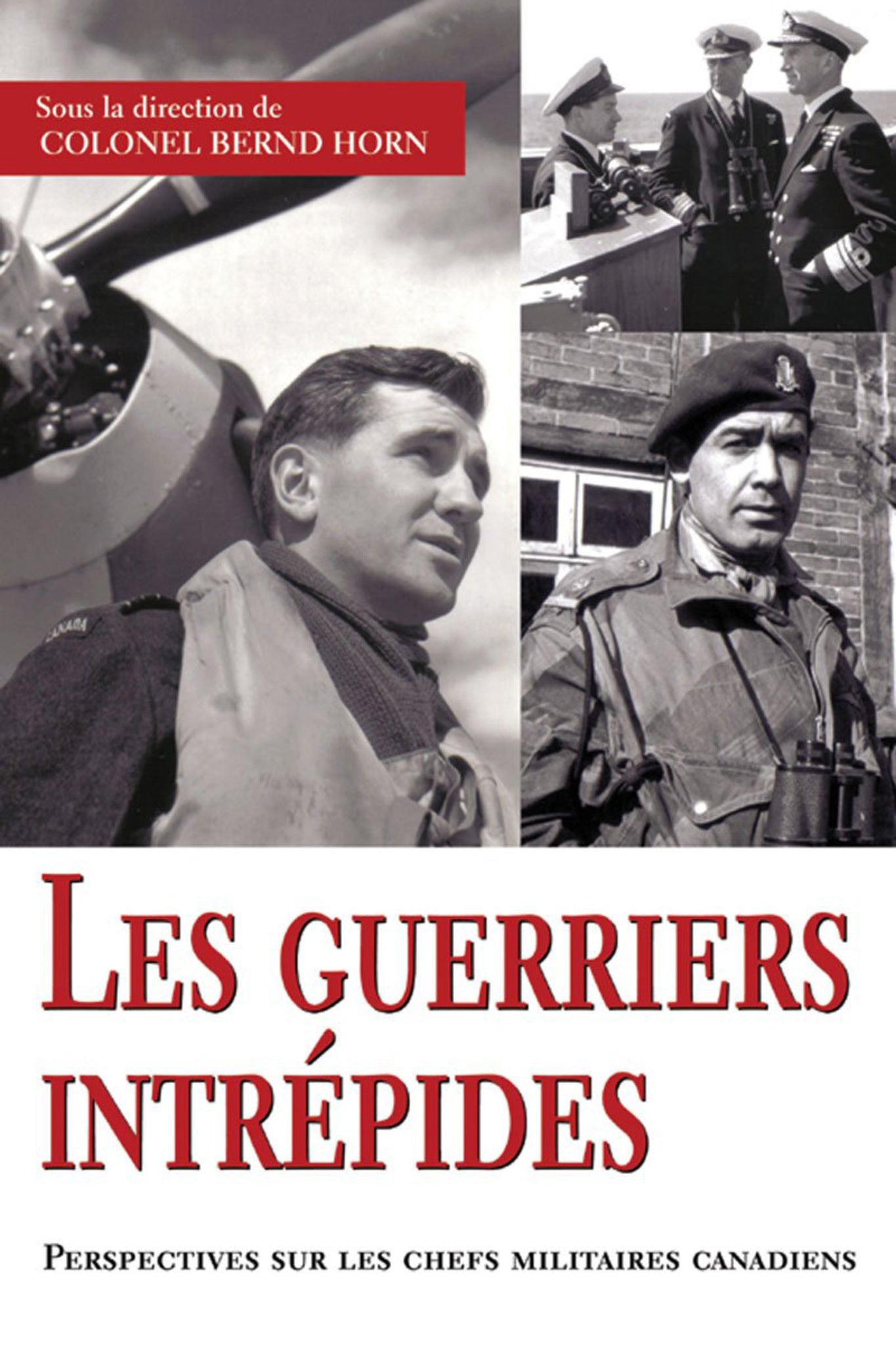 Cover image for Les guerriers intrépides ISBN 9781550027211