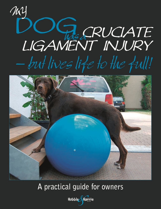 My dog has cruciate ligament injury – but lives life to the full!