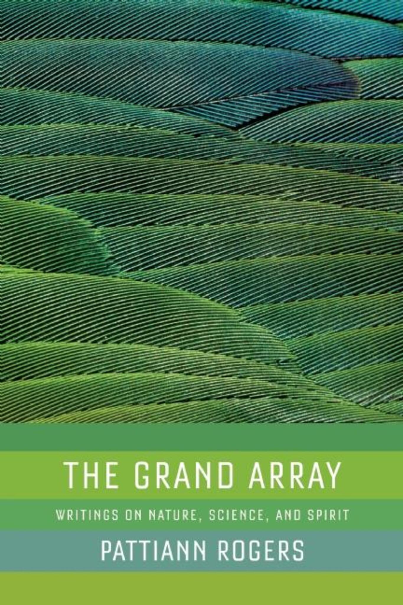 Cover image for The Grand Array ISBN 9781595341334