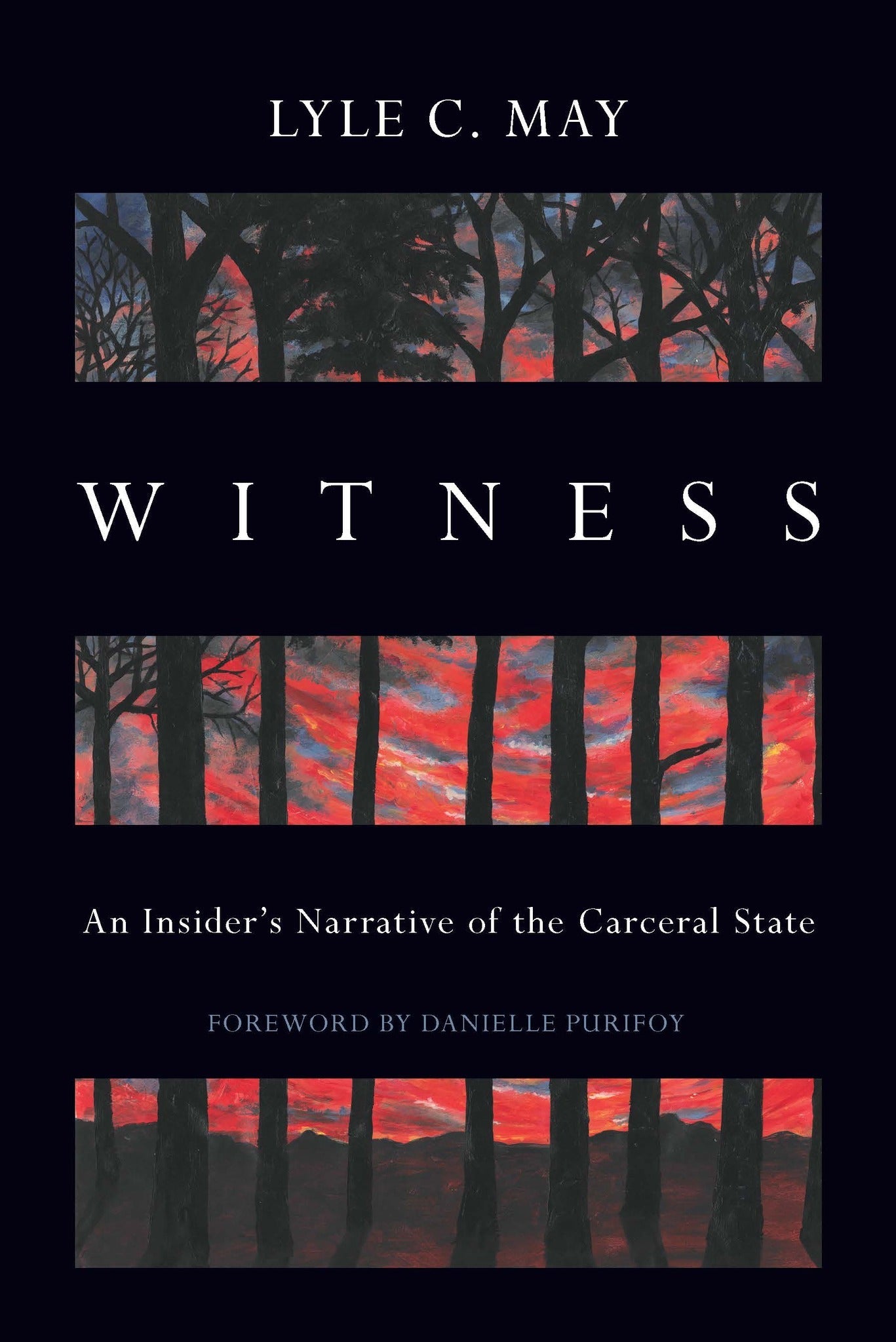 Cover image for Witness ISBN 9798888900598