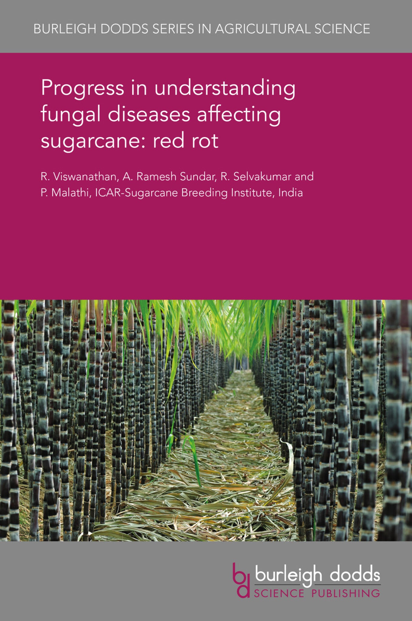 Cover image for Progress in understanding fungal diseases affecting sugarcane: red rot ISBN 9781838795986