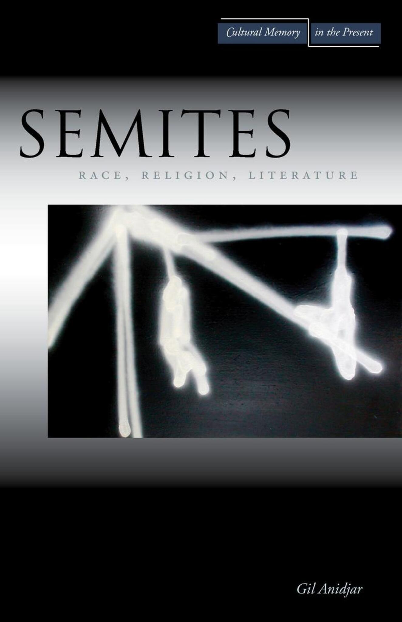 Cover image for Semites ISBN 9780804756952