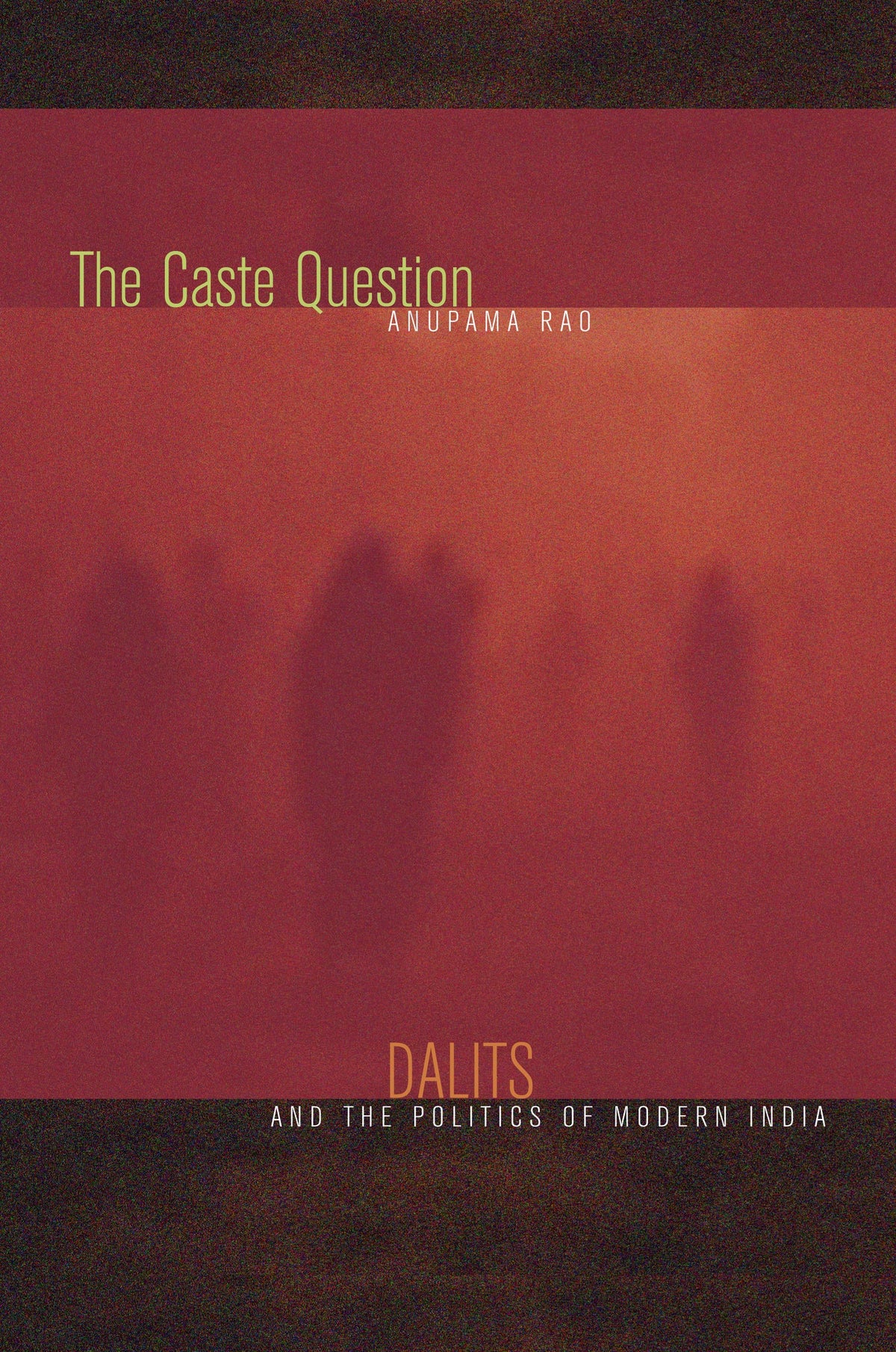 Cover image for The Caste Question ISBN 9780520257610