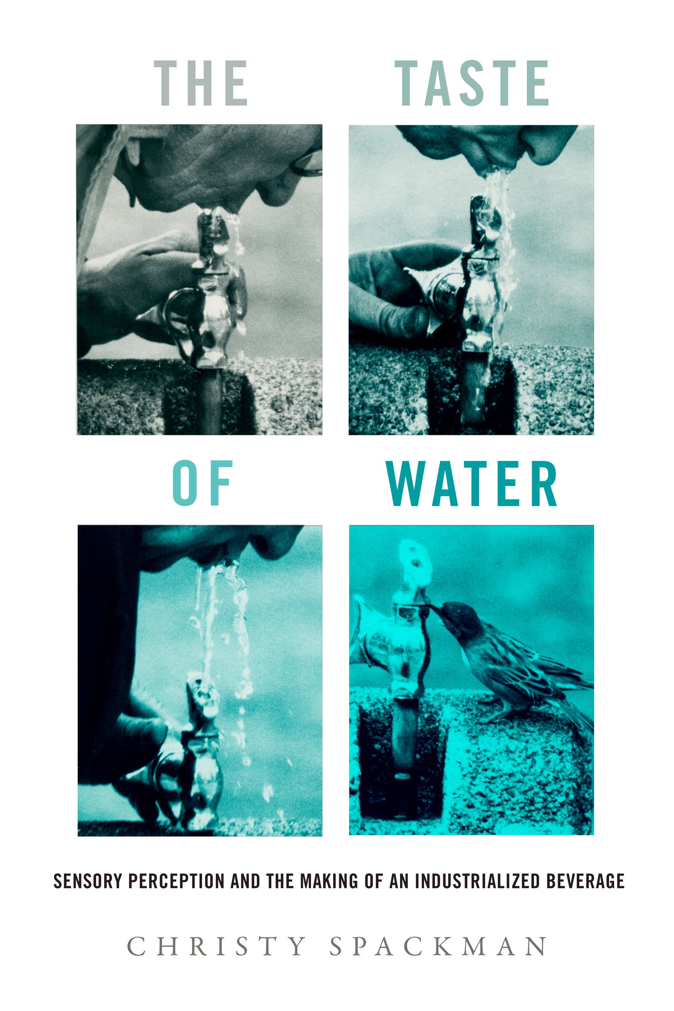 Cover image for The Taste of Water ISBN 9780520393554