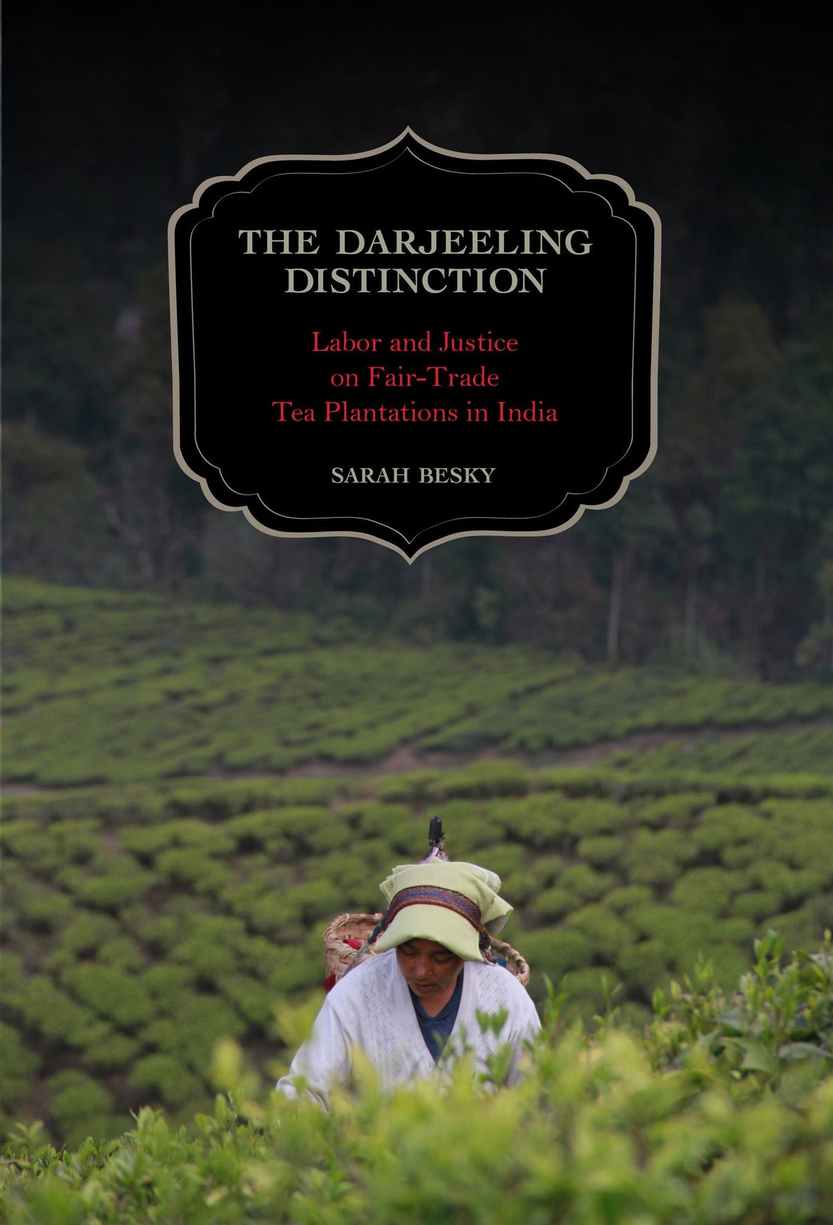 Cover image for The Darjeeling Distinction ISBN 9780520957602