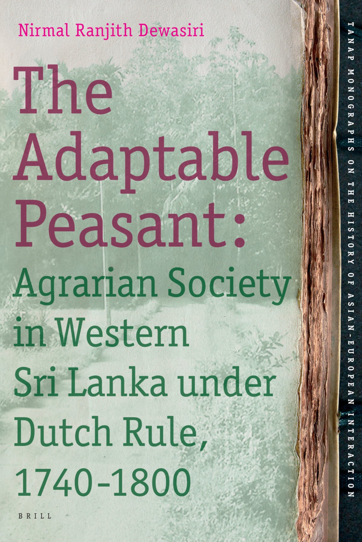 Cover image for The Adaptable Peasant ISBN 9789004165083
