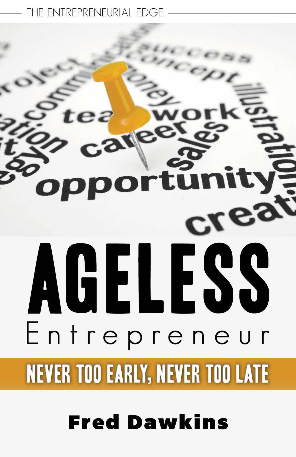 Cover image for Ageless Entrepreneur ISBN 9781459728240