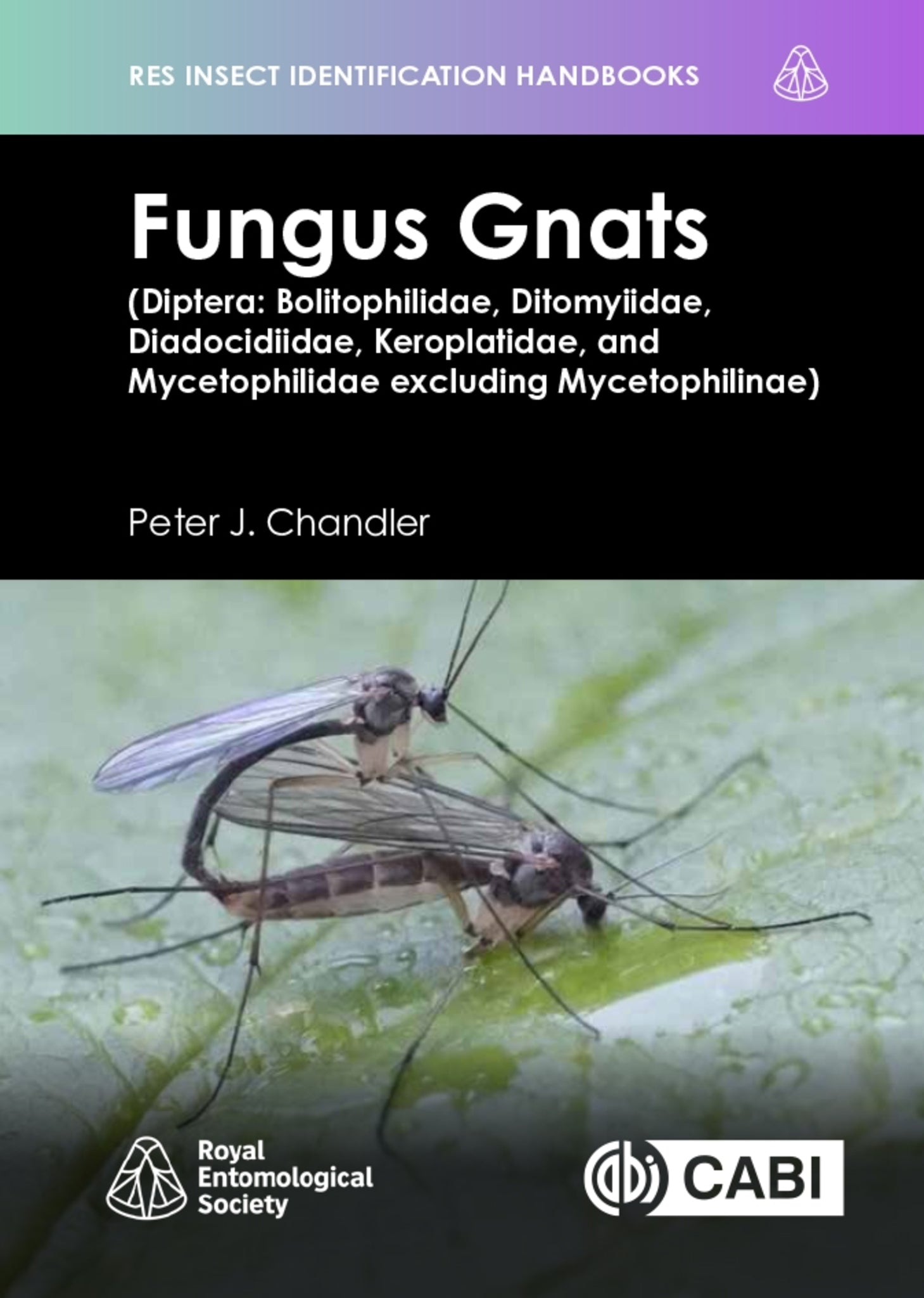 Cover image for Fungus Gnats (Diptera: Bolitophilidae, Ditomyiidae, Diadocidiidae, Keroplatidae, and Mycetophilidae excluding Mycetophilinae) ISBN 9781836994251