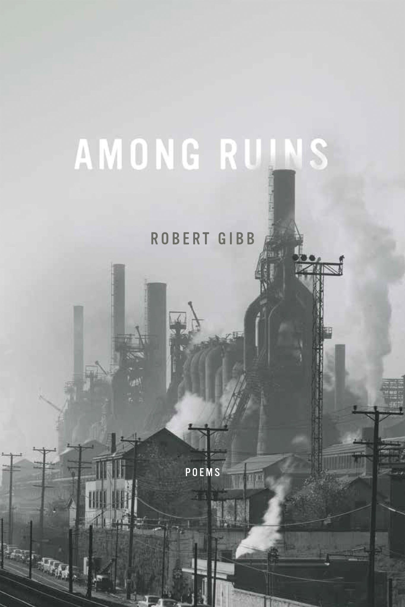 Cover image for Among Ruins ISBN 9780268102104