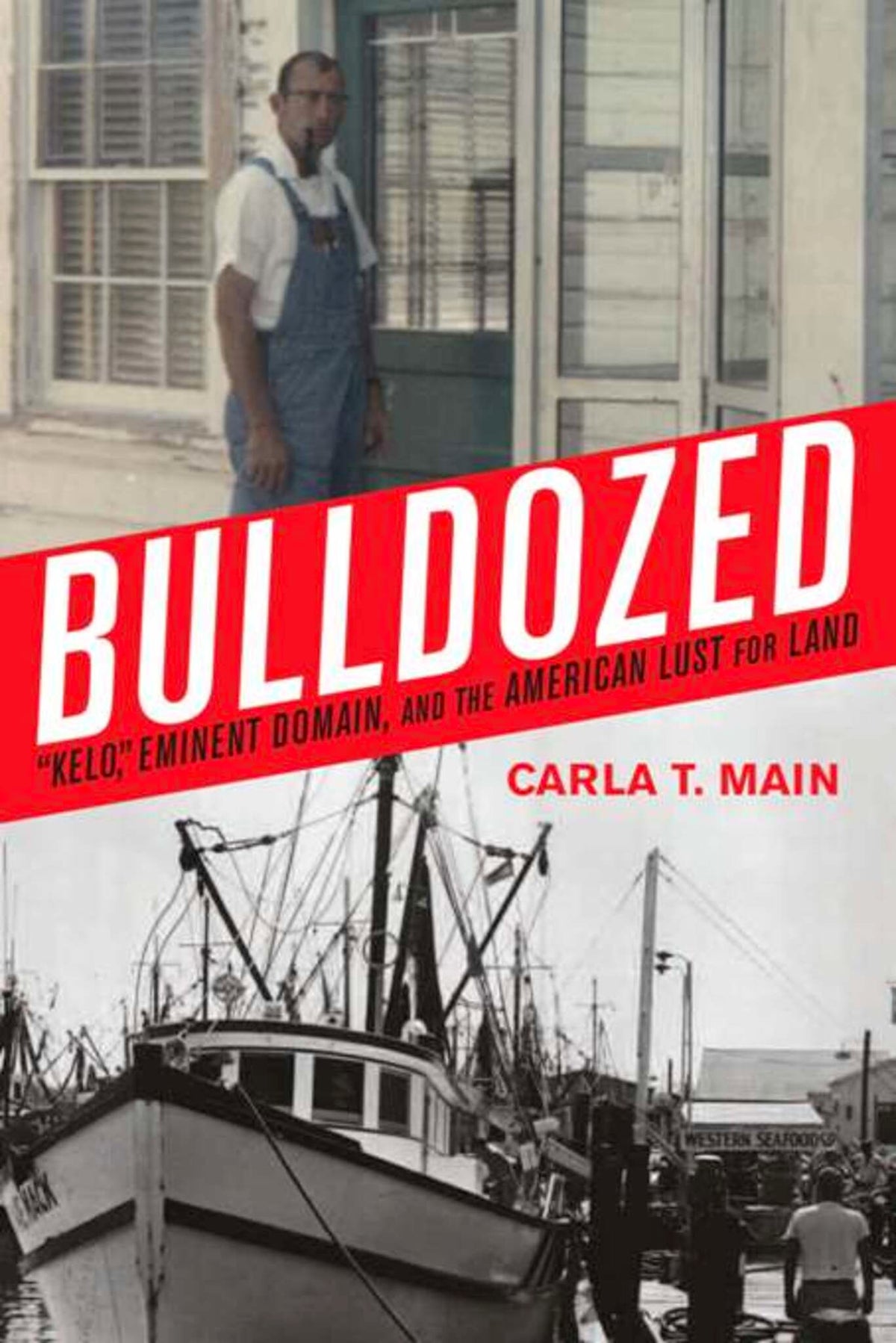 Cover image for Bulldozed ISBN 9781594031939