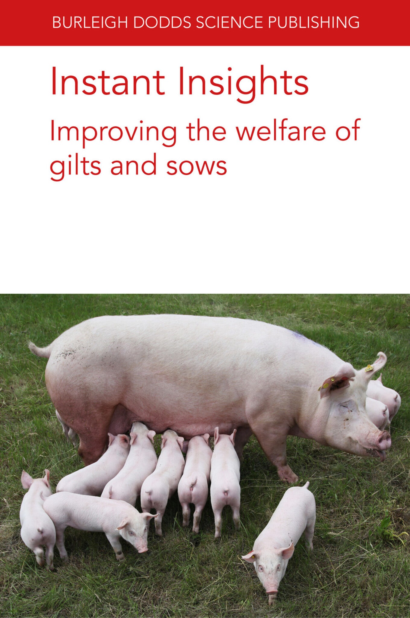 Cover image for Instant Insights: Improving the welfare of gilts and sows ISBN 9781801466400
