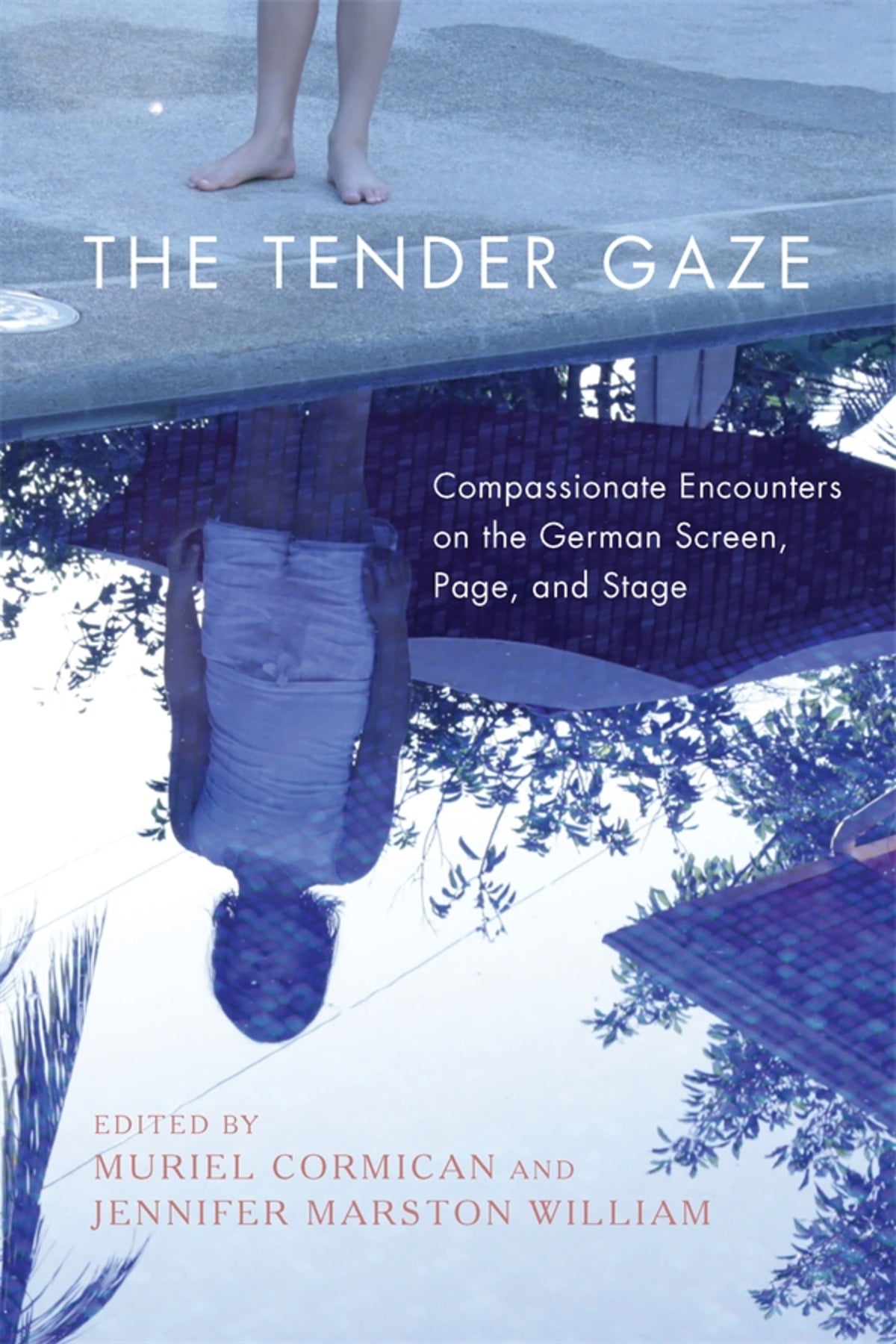 Cover image for The Tender Gaze ISBN 9781640140745