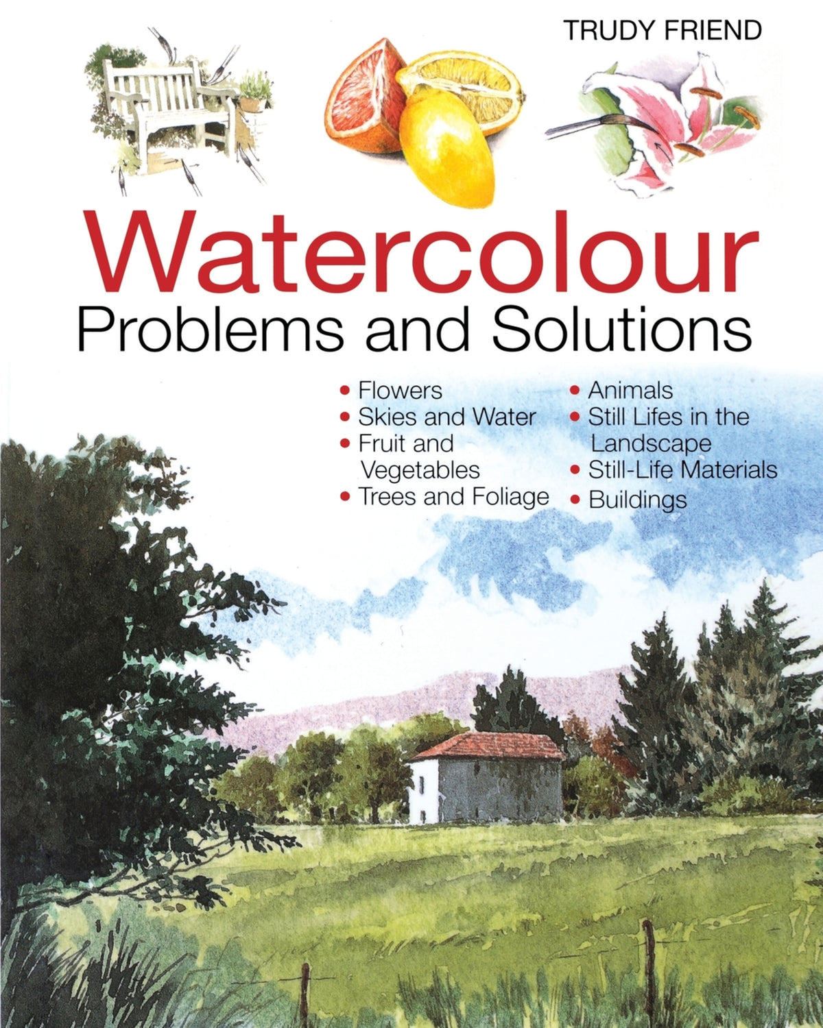 Cover image for Watercolour Problems and Solutions ISBN 9780715314579