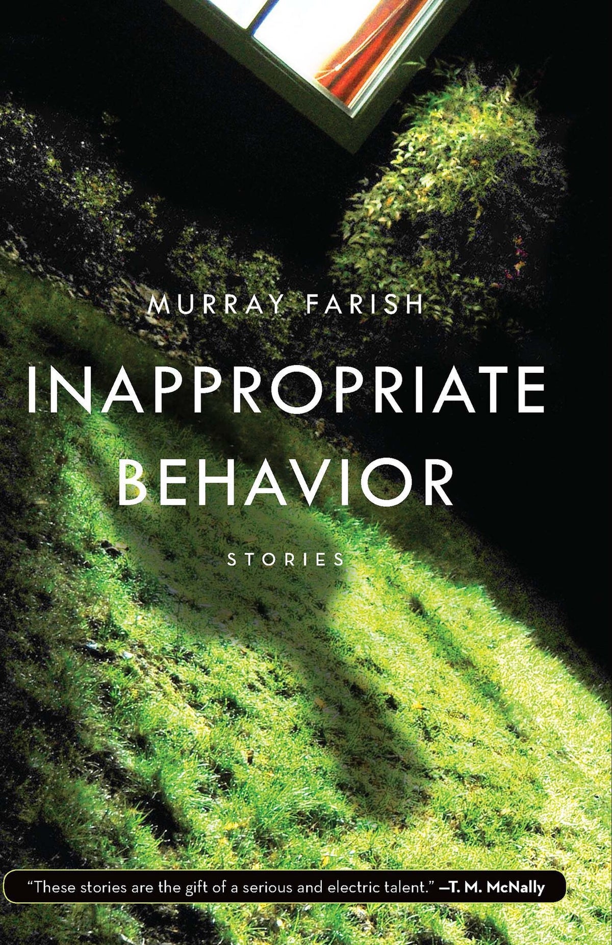 Cover image for Inappropriate Behavior ISBN 9781571311078