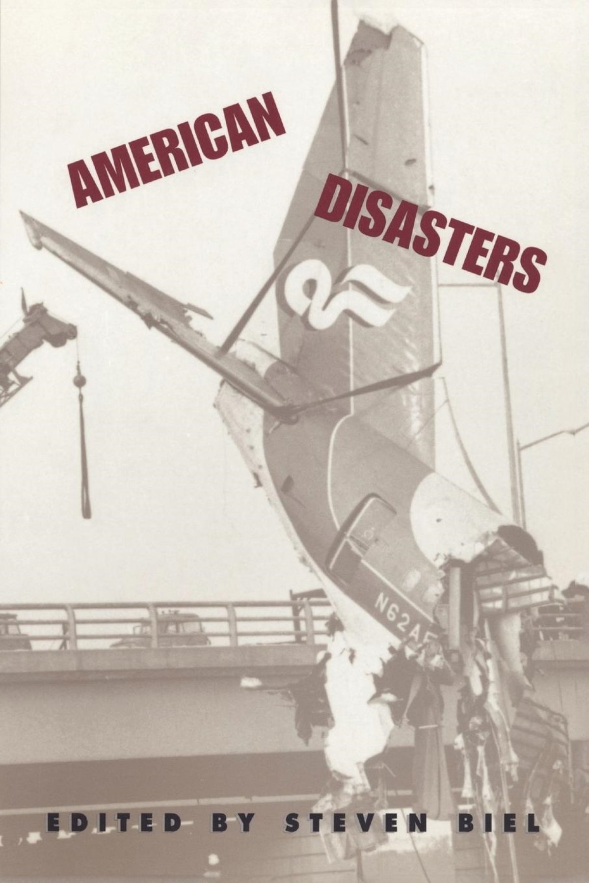 Cover image for American Disasters ISBN 9780814713457