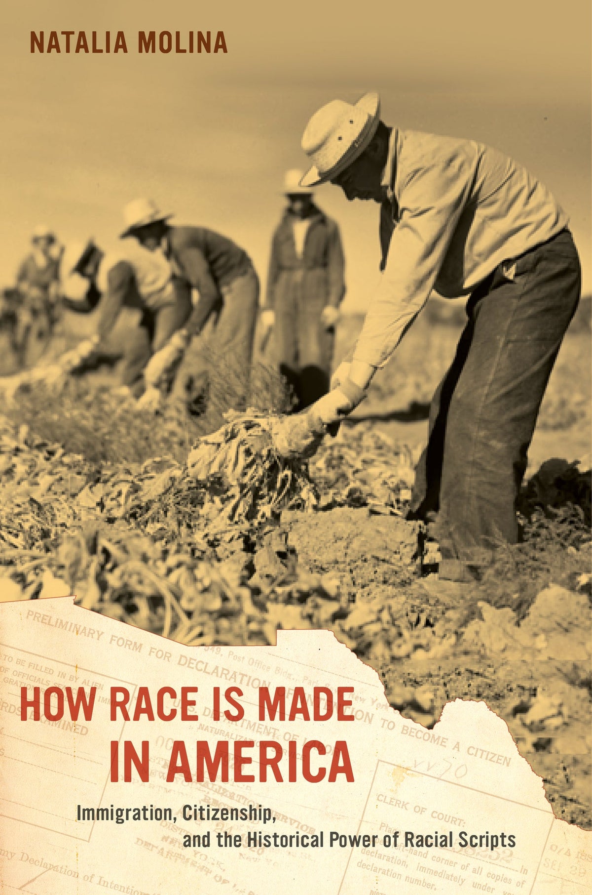 Cover image for How Race Is Made in America ISBN 9780520957190