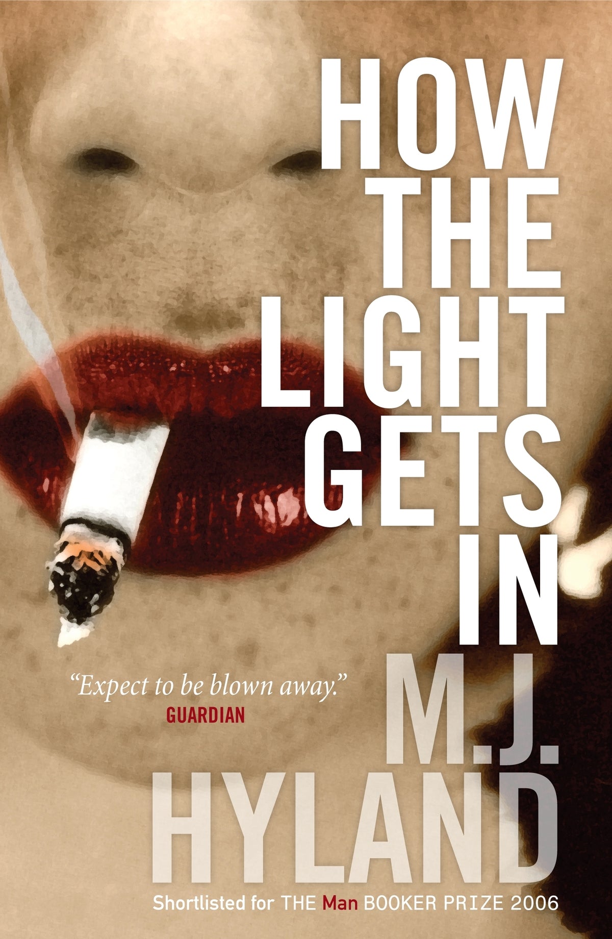Cover image for How The Light Gets In ISBN 9781841956114