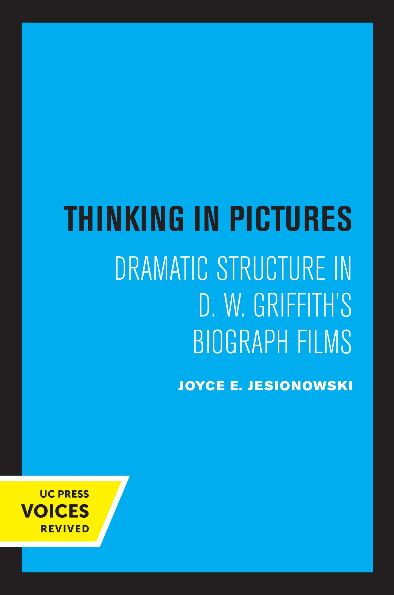 Thinking in Pictures