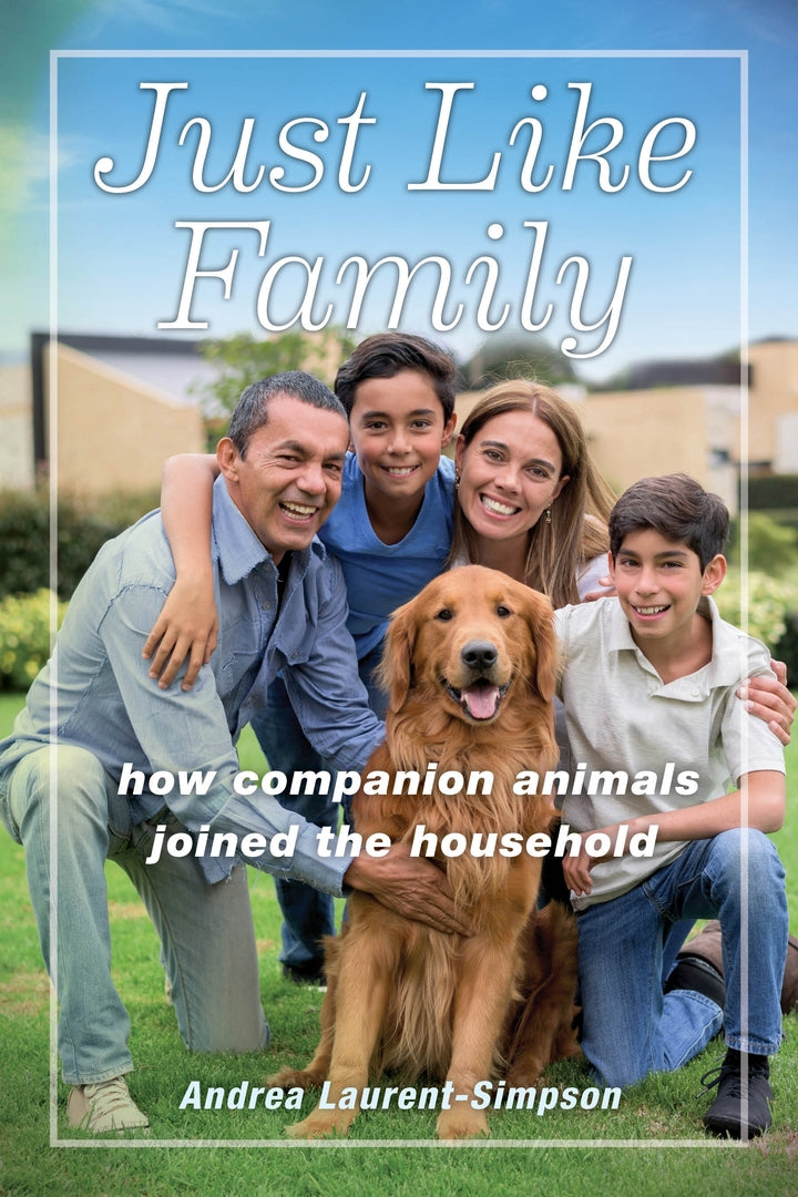 Cover image for Just Like Family ISBN 9781479828852