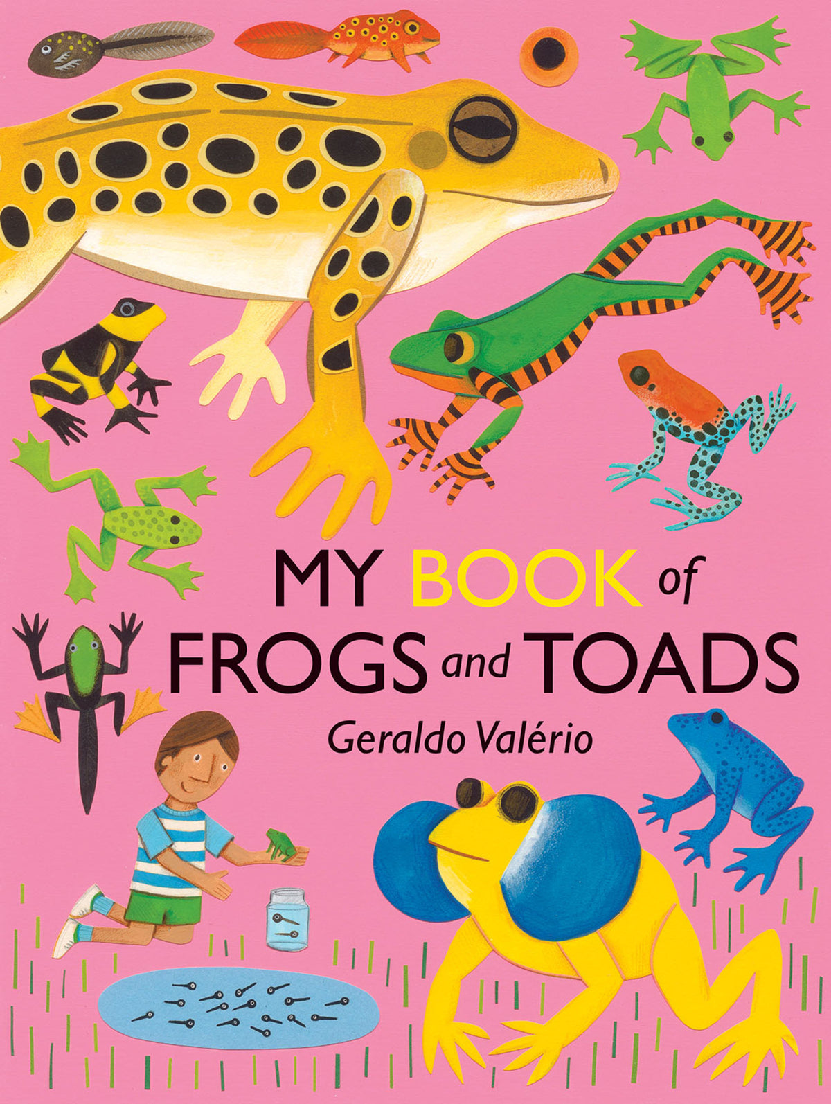 Cover image for My Book of Frogs and Toads ISBN 9781773069210