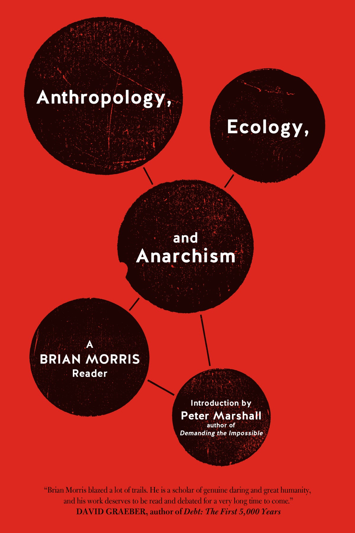 Cover image for Anthropology, Ecology, and Anarchism ISBN 9781604860931