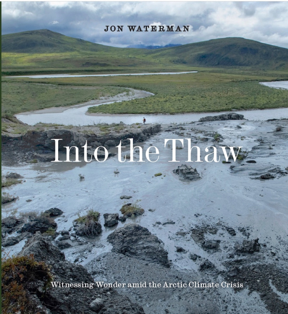 Cover image for Into the Thaw ISBN