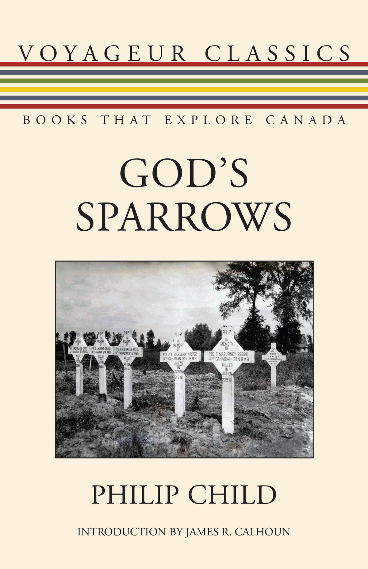 Cover image for God's Sparrows ISBN 9781459736436