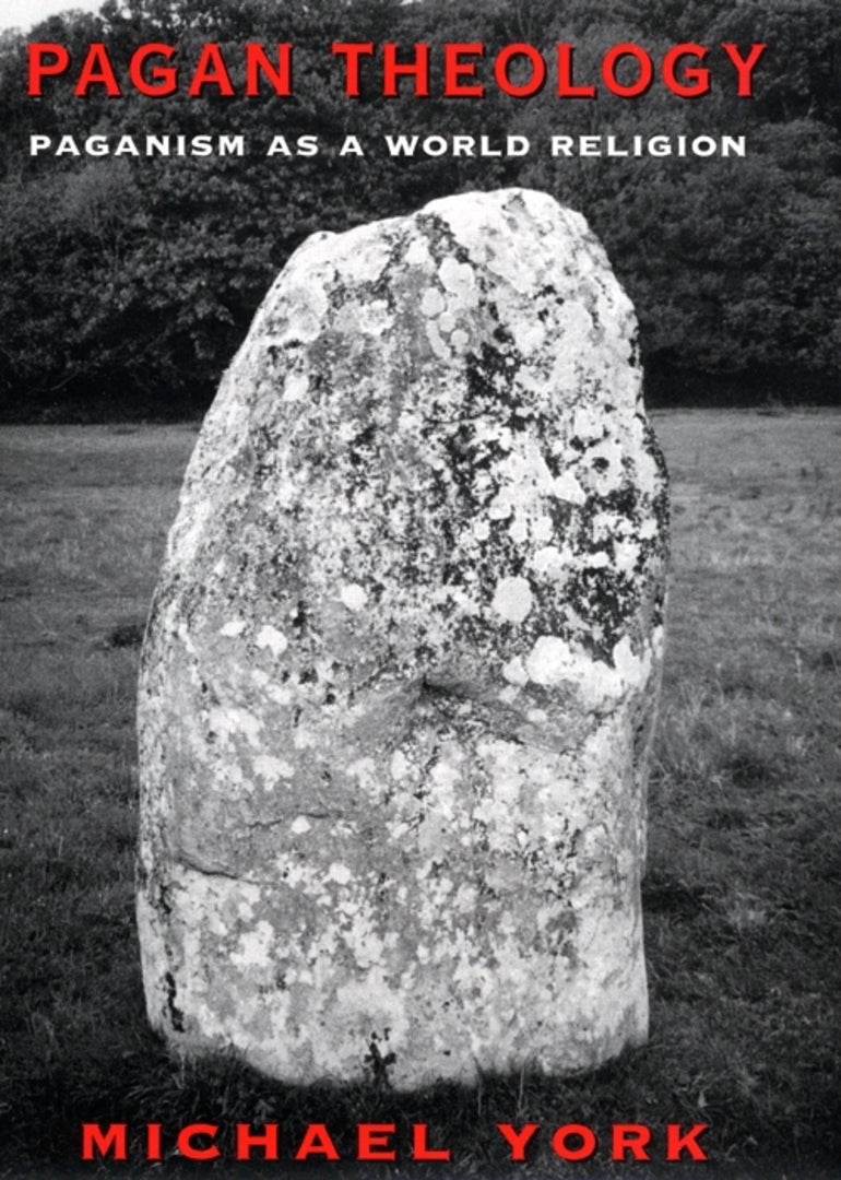 Cover image for Pagan Theology ISBN 9780814797020