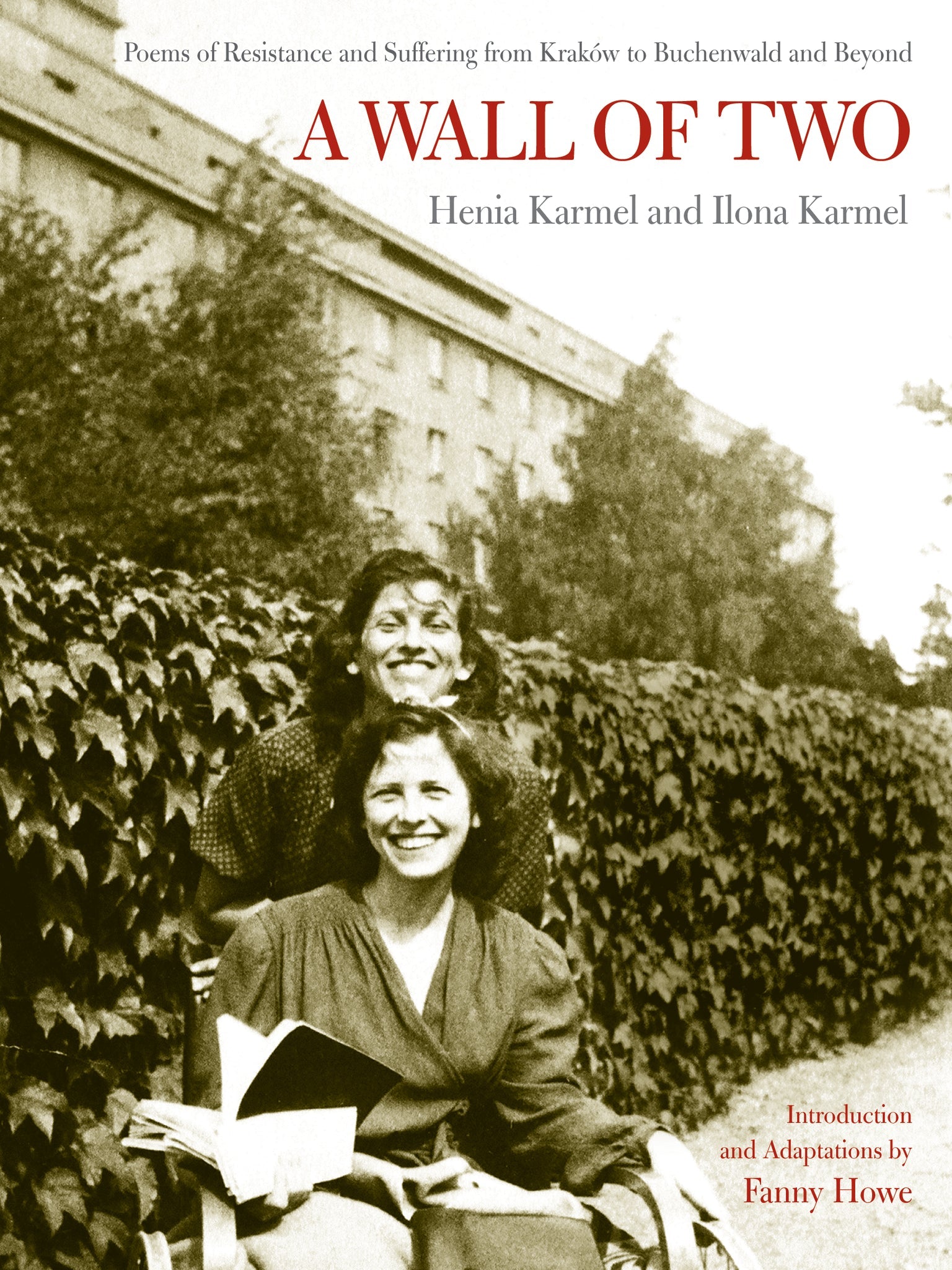 Cover image for A Wall of Two ISBN 9780520251366