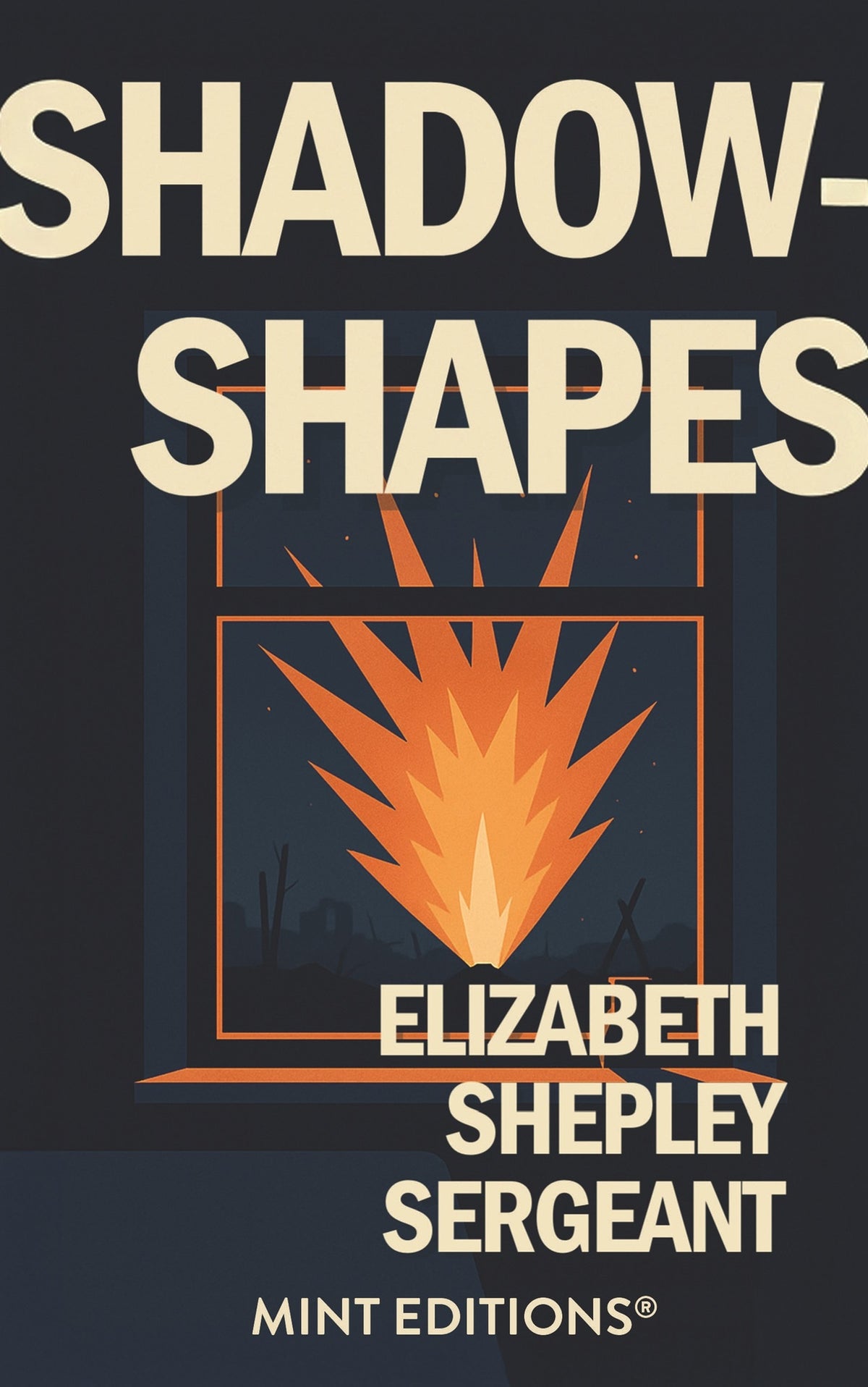 Cover image for Shadow-Shapes: The Journal of a Wounded Woman ISBN 9798888977231