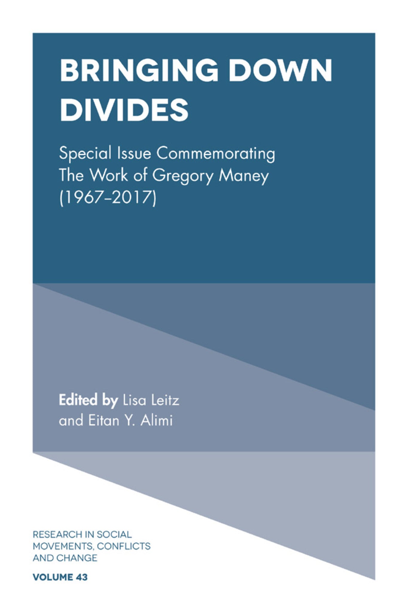 Cover image for Bringing Down Divides ISBN 9781787694064