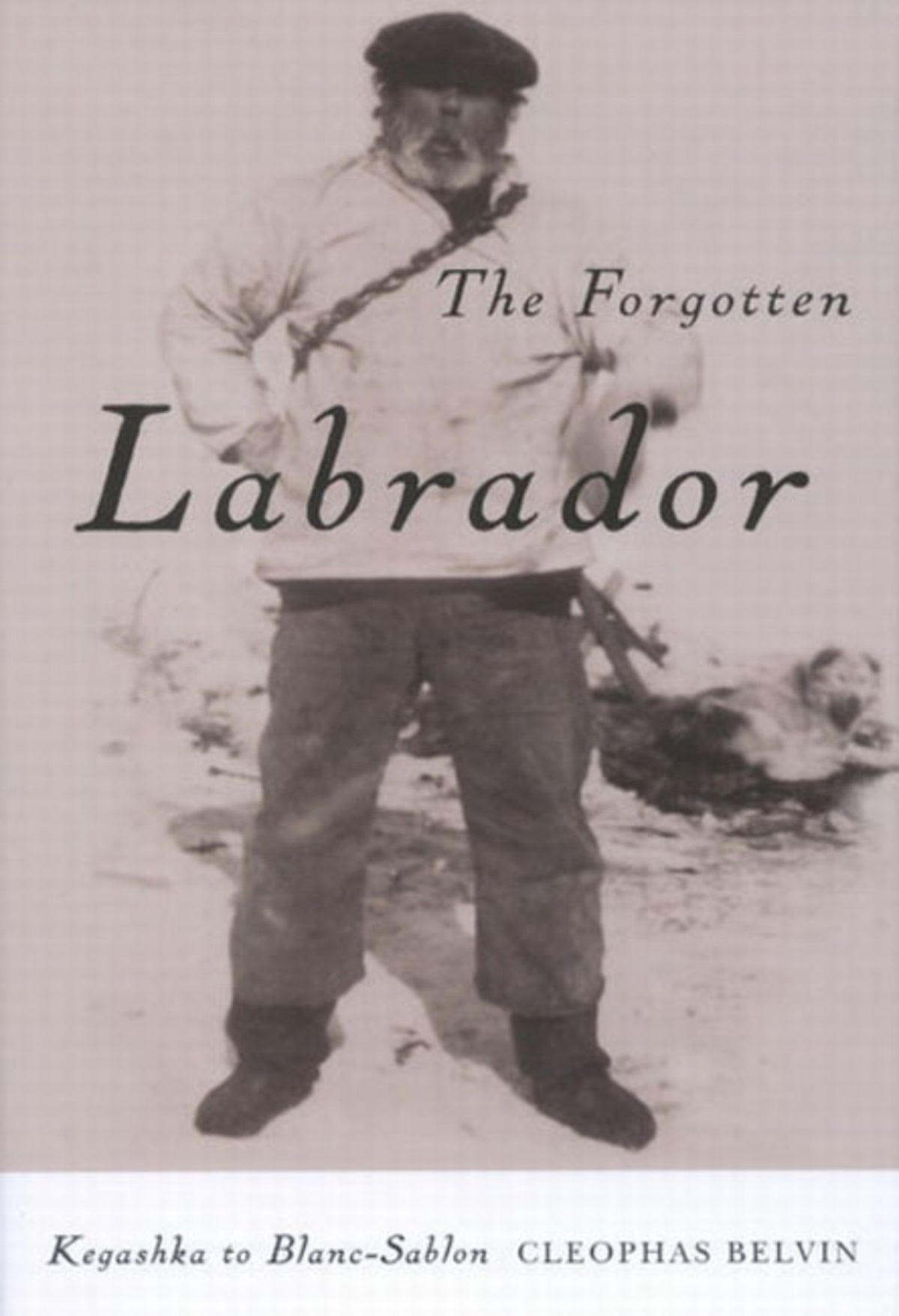 Cover image for The Forgotten Labrador ISBN 9780773580848