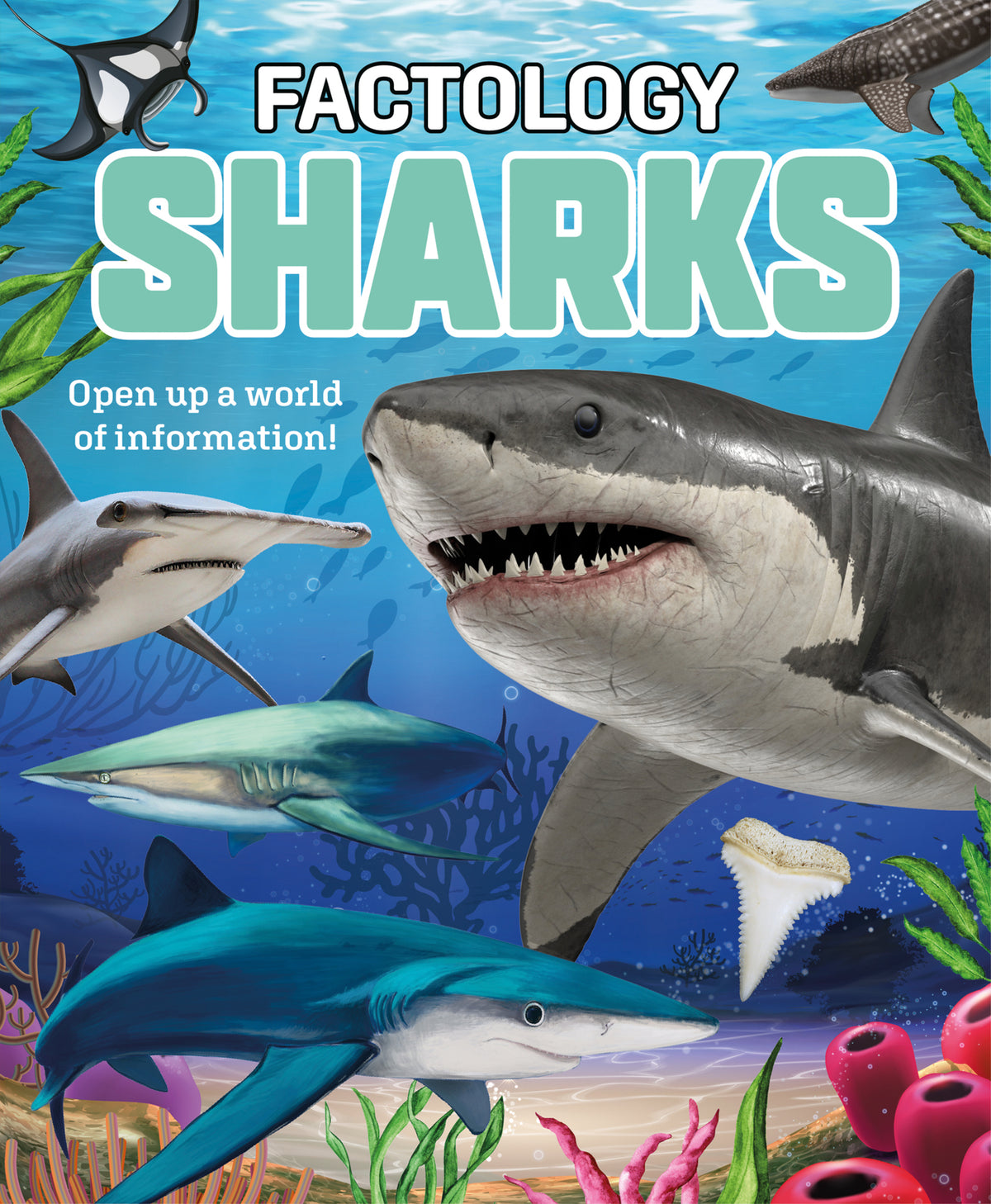 Cover image for Factology: Sharks ISBN 9781787081789