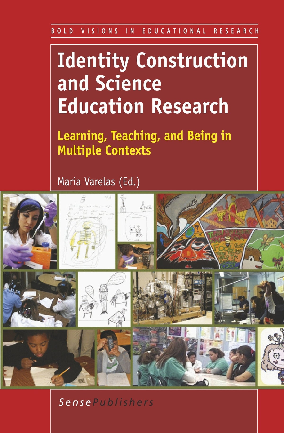 Cover image for Identity Construction and Science Education Research ISBN 9789462090415