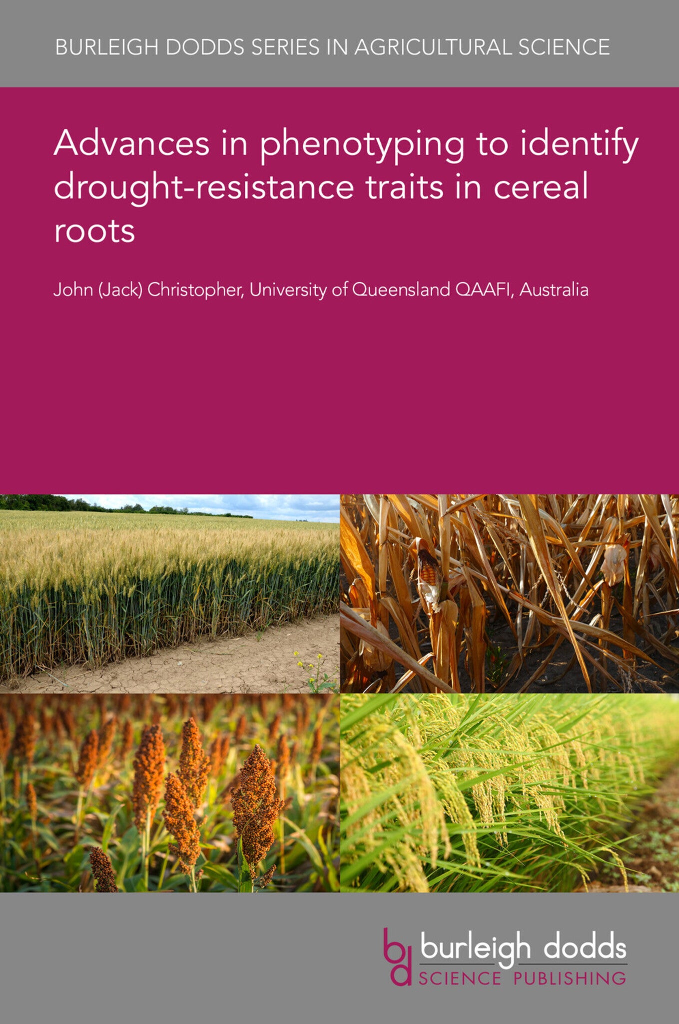 Cover image for Advances in phenotyping to identify drought-resistance traits in cereal roots ISBN 9781835450291